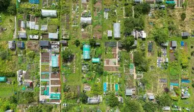 Sheds as Sustainable Storage Solutions in Eco-Friendly Architecture