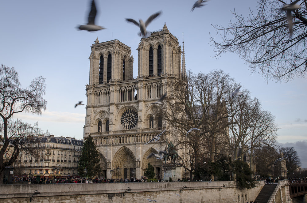 The Whole World Prayed for a Building to Stand; Notre-Dame de Paris