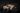 Coalescence – The Young