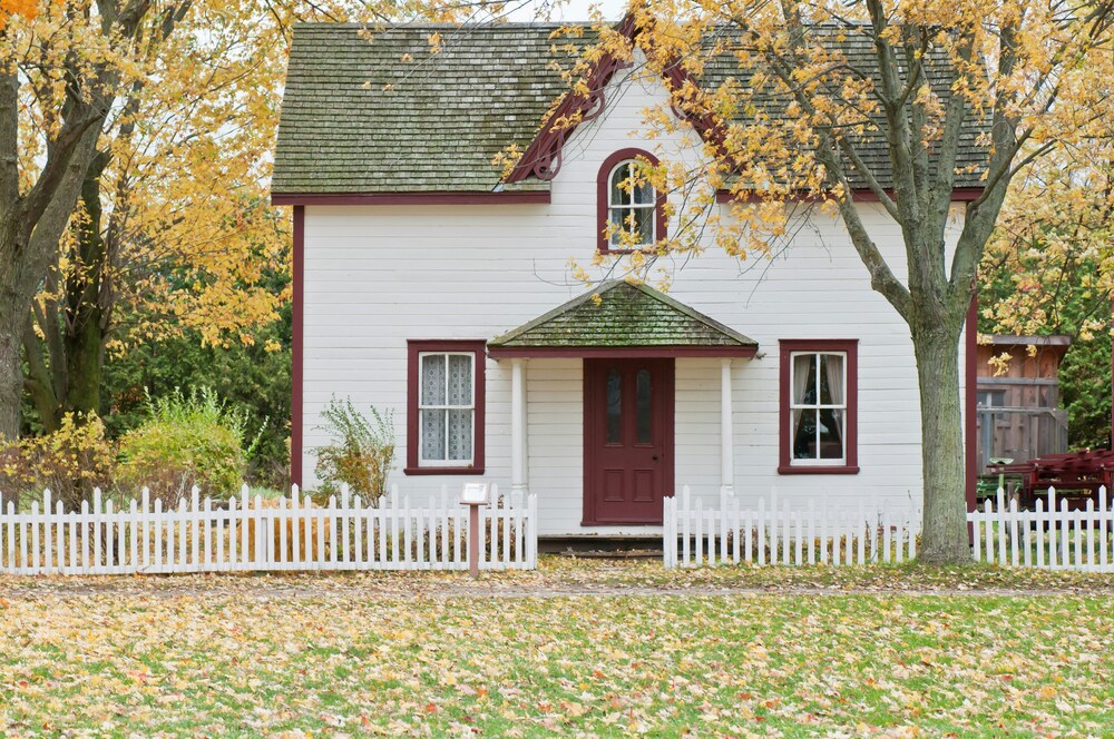 How to Keep Your Home Pest-Free: Essential Maintenance Tips