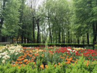 The Overlooked Details That Can Transform Your Landscape