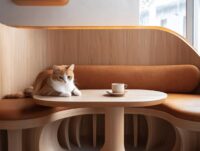 Exploring Contemporary Cafe Design Trends: Sustainability, Comfort, and Community