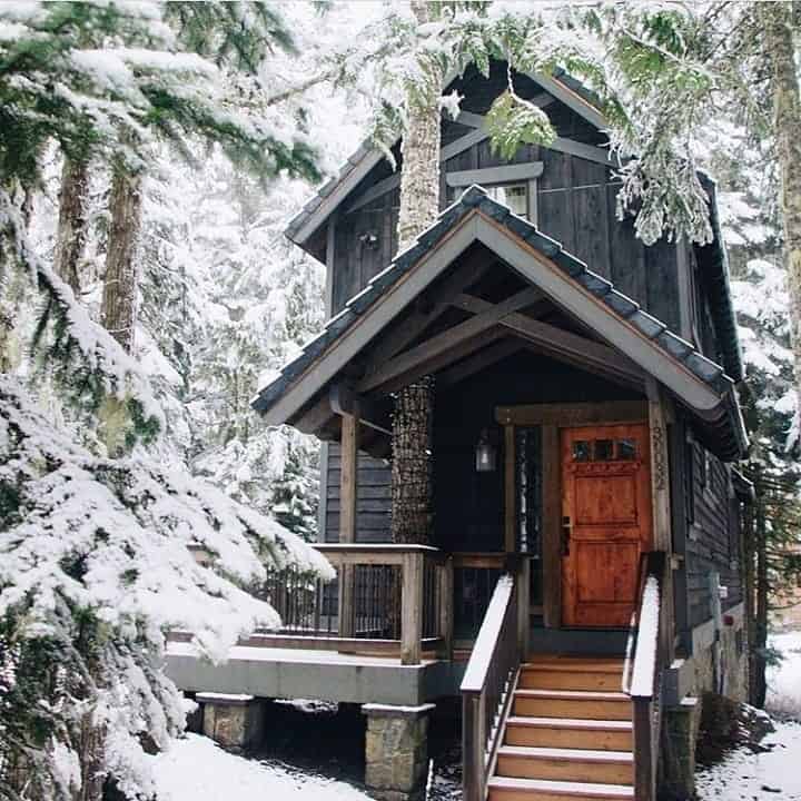 Charred‑Wood Forest Dwelling