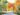 Transforming Spaces: The Power of Behavioral Architecture for Well-Being and Connection
