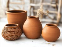 Revolutionizing Sustainability: The Impact of Biomaterials in Architecture