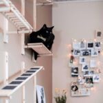Tips For Integrating Cat-friendly Features Into Your Interior Design Tips For Integrating Cat-friendly Features Into Your Interior Design
