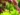 What to Look for When Searching for Garden Help