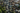 Tokenized Real Estate: The Future of Property Investment?