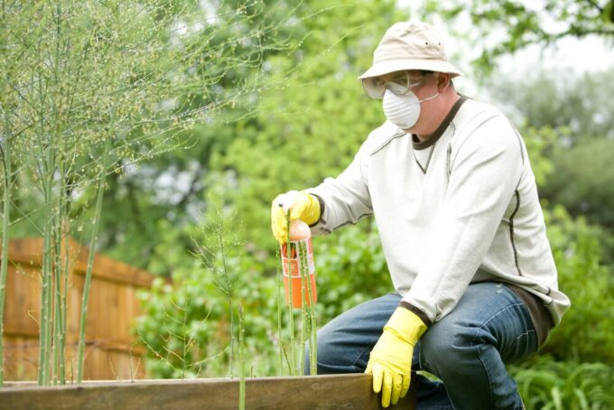What Homeowners Should Know About Long-Term Pest Prevention