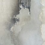 Where to Find Trusted Mold Specialists in New York? Where to Find Trusted Mold Specialists in New York?