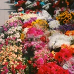 The Language of Flowers: What Your Bouquet Really Says The Language of Flowers: What Your Bouquet Really Says