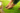 Key Strategies Behind Effective Landscaping Company Marketing