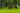 Commercial Landscaping in Philadelphia: A Practical Guide for Property Managers