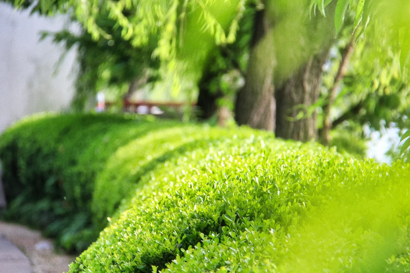 5 Ways To Make Your Home Greener For The Greater Good 5 Ways To Make Your Home Greener For The Greater Good