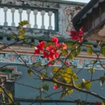 6 Reasons to Treat Yourself to a Monthly Flower Delivery Service 6 Reasons to Treat Yourself to a Monthly Flower Delivery Service