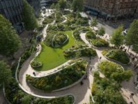 How Urban Design Evolves Like Nature