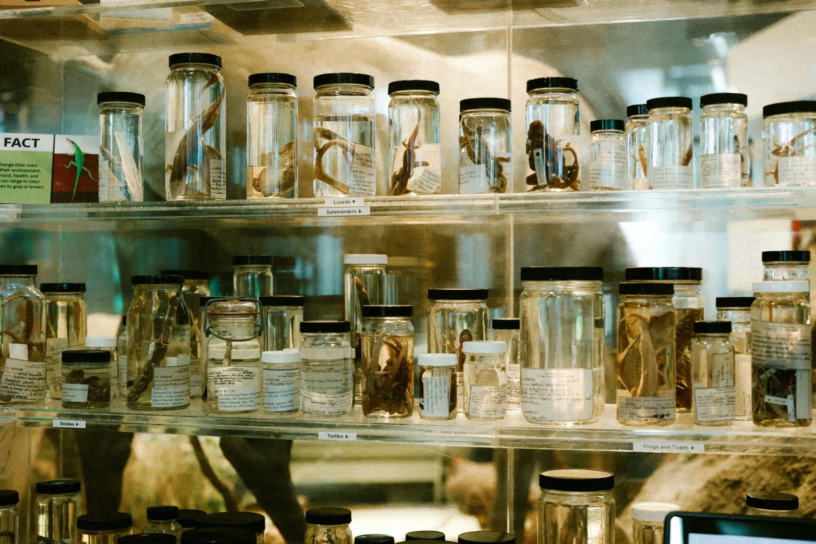 5 Ways Slim Shaker Cabinets Transform Small Kitchen Layouts 5 Ways Slim Shaker Cabinets Transform Small Kitchen Layouts