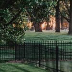 Essential Tips for Maintaining a Beautiful Yard Essential Tips for Maintaining a Beautiful Yard