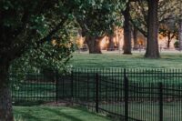 Essential Tips for Maintaining a Beautiful Yard Essential Tips for Maintaining a Beautiful Yard