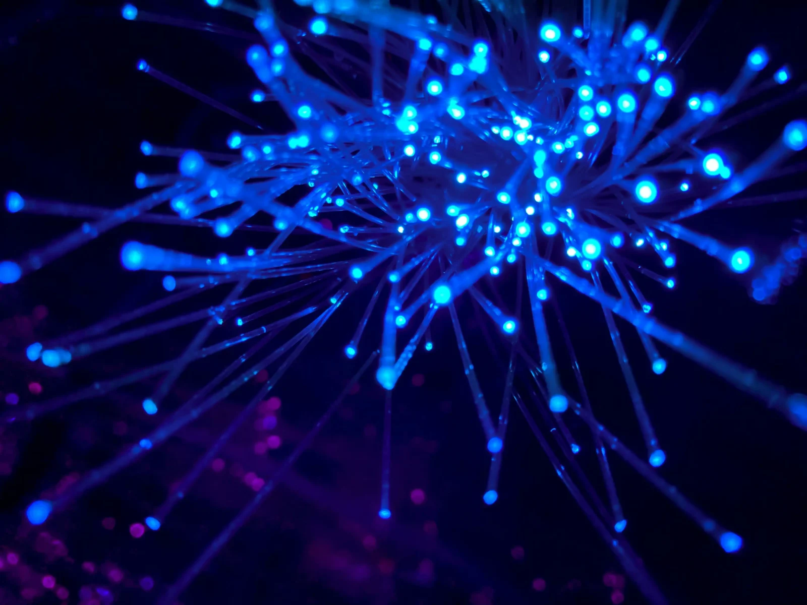 DNS IPv6 vs IPv4: What’s the Difference and Which One Should You Use? DNS IPv6 vs IPv4: What’s the Difference and Which One Should You Use?