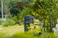 Top Lawn Care & Landscaping Services in St. Petersburg, FL (2025) Top Lawn Care & Landscaping Services in St. Petersburg, FL (2025)