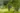 Top Lawn Care & Landscaping Services in St. Petersburg, FL (2025)