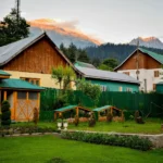 What You Really Need to Create a Beautiful Yard