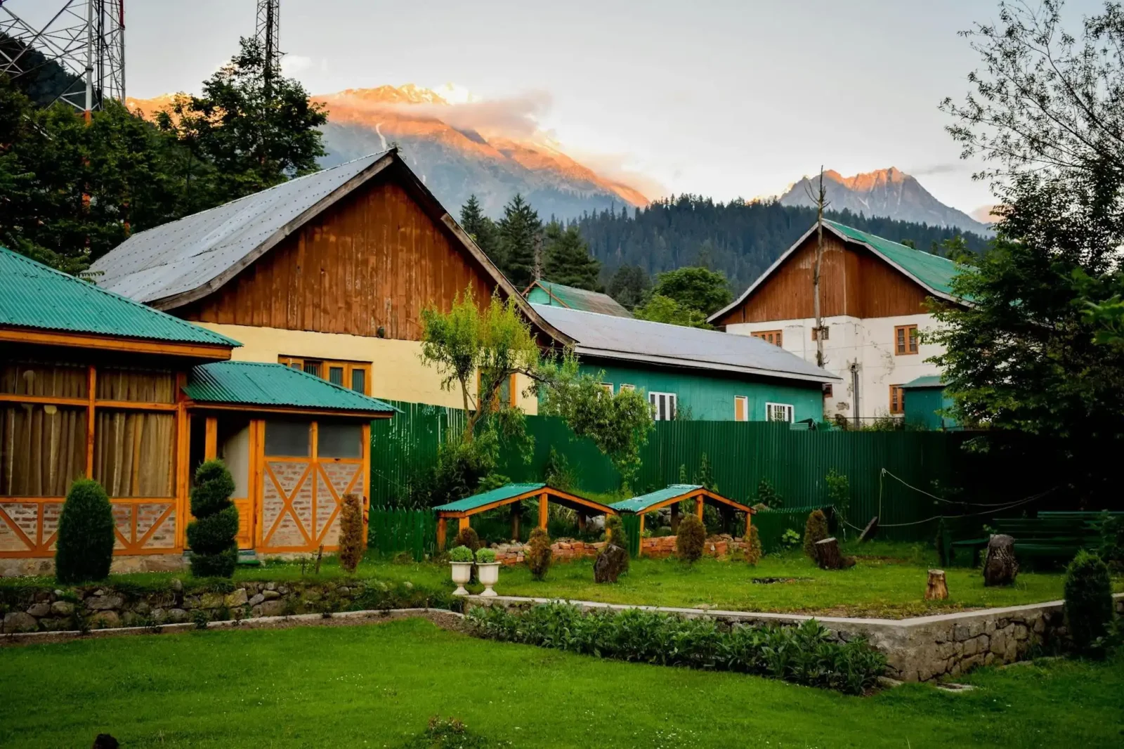 What You Really Need to Create a Beautiful Yard