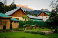 What You Really Need to Create a Beautiful Yard