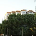 Why Septic Systems Matter in Modern Residential Architecture: Design Factors Professionals Shouldn’t Overlook