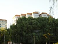 Why Septic Systems Matter in Modern Residential Architecture: Design Factors Professionals Shouldn’t Overlook