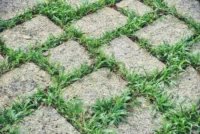 Transform Your Garden with Artificial Turf Austin Solutions