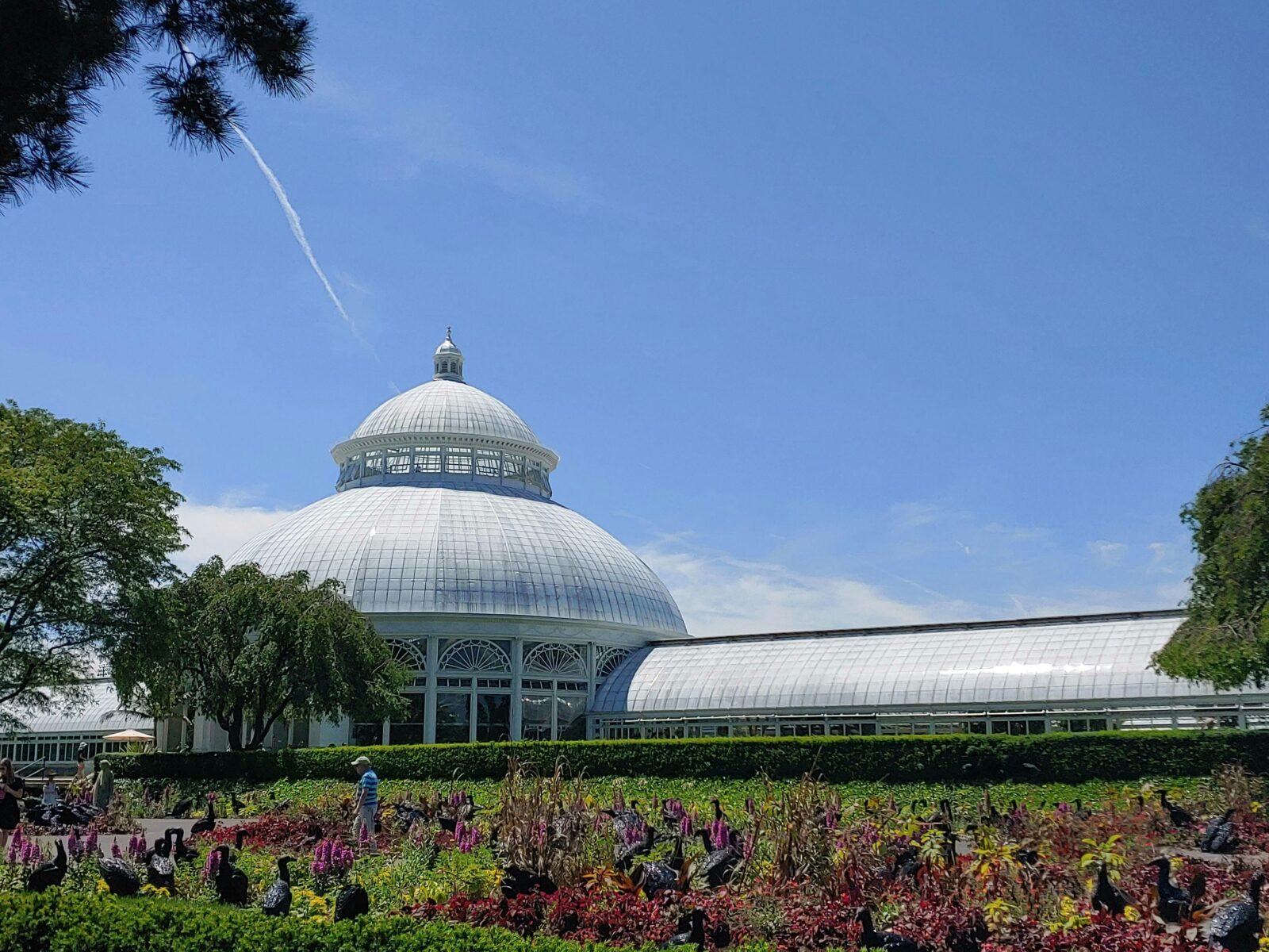 Top Botanic Gardens in the United States: Where We Go For Living Collections And Calm