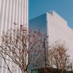 How Environmental Planning Shapes Modern Architecture in Houston