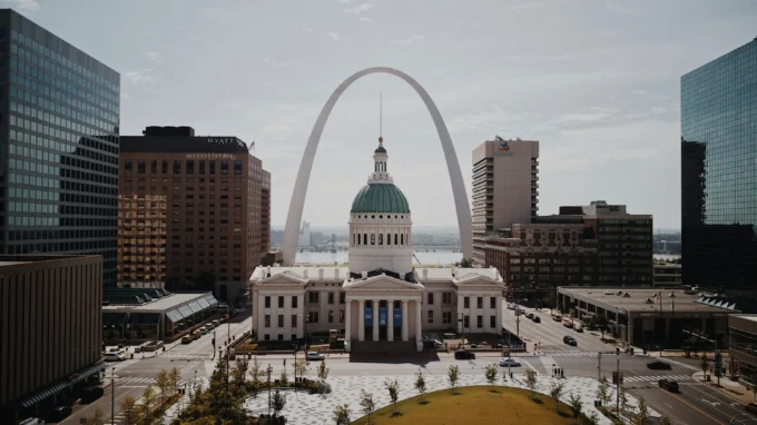 7 Best St. Louis Attorneys for Dog Bite, Animal Attack, and Premises Liability Cases