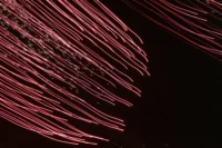 Events and Accidents That Commonly Lead to Wrongful Death Claims