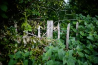 The Ultimate Guide to Fencing in North Dakota: Choosing the Best Fence for Your Property