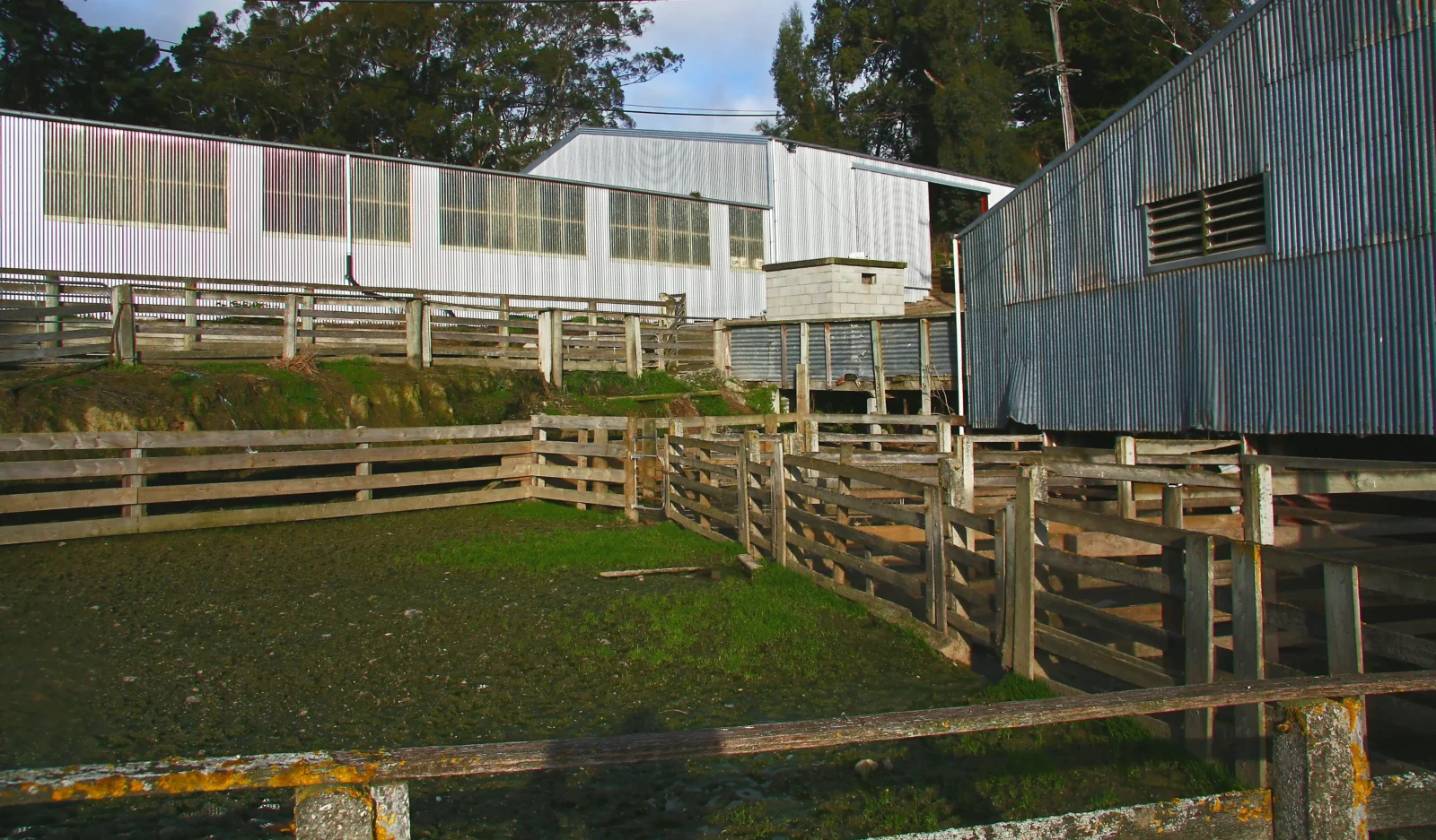 6 Ways Technology Is Transforming Animal Control Practices Today