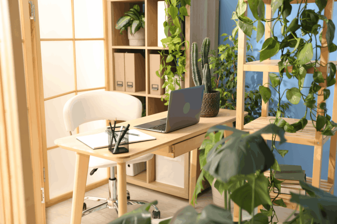 6 Popular Interior Design Concepts You Need to Know | illustrarch
