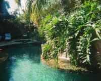 Creating Your Dream Backyard Oasis: Design, Structures, and Maintenance