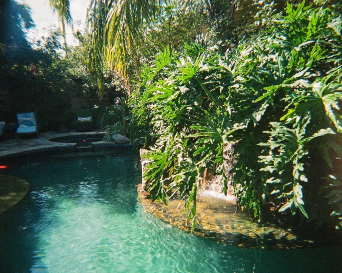 Creating Your Dream Backyard Oasis: Design, Structures, and Maintenance