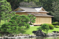 Japanese Tea House: Anatomy, Design Elements, and Spatial Philosophy
