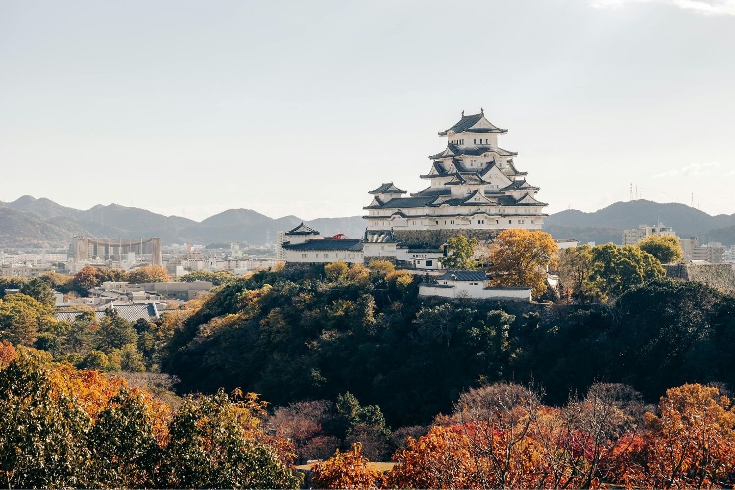 Himeji Castle: How Japan's White Heron Castle Mastered Defensive Architecture