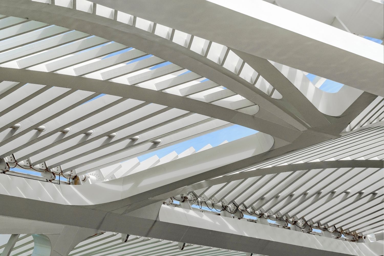 Museum of Tomorrow: Santiago Calatrava's Sustainable Vision in Rio de Janeiro