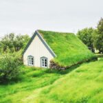 Benefits of Green Roofing vs Solar Roof: Which Performs Better in Urban Buildings?