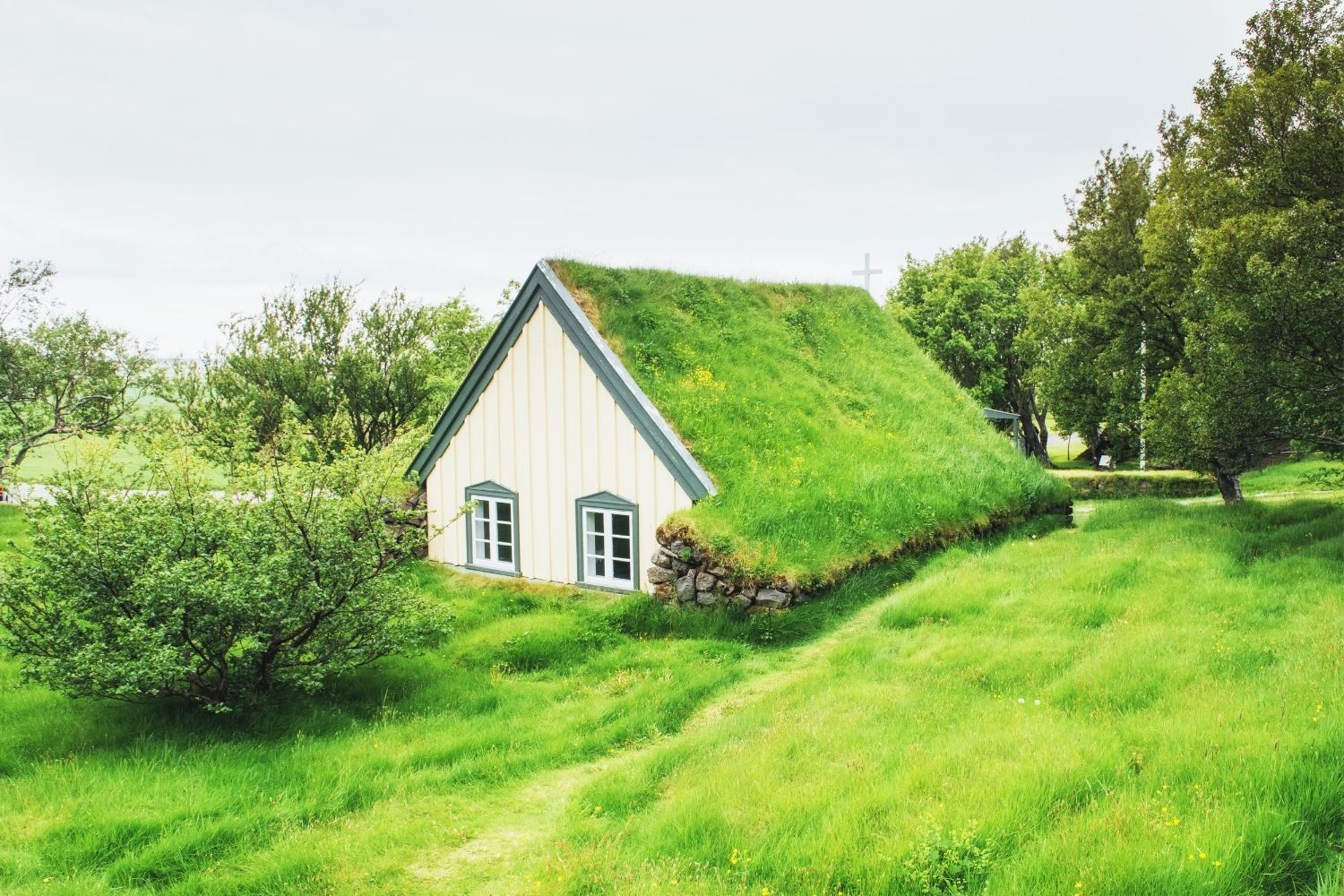 Benefits of Green Roofing vs Solar Roof: Which Performs Better in Urban Buildings?