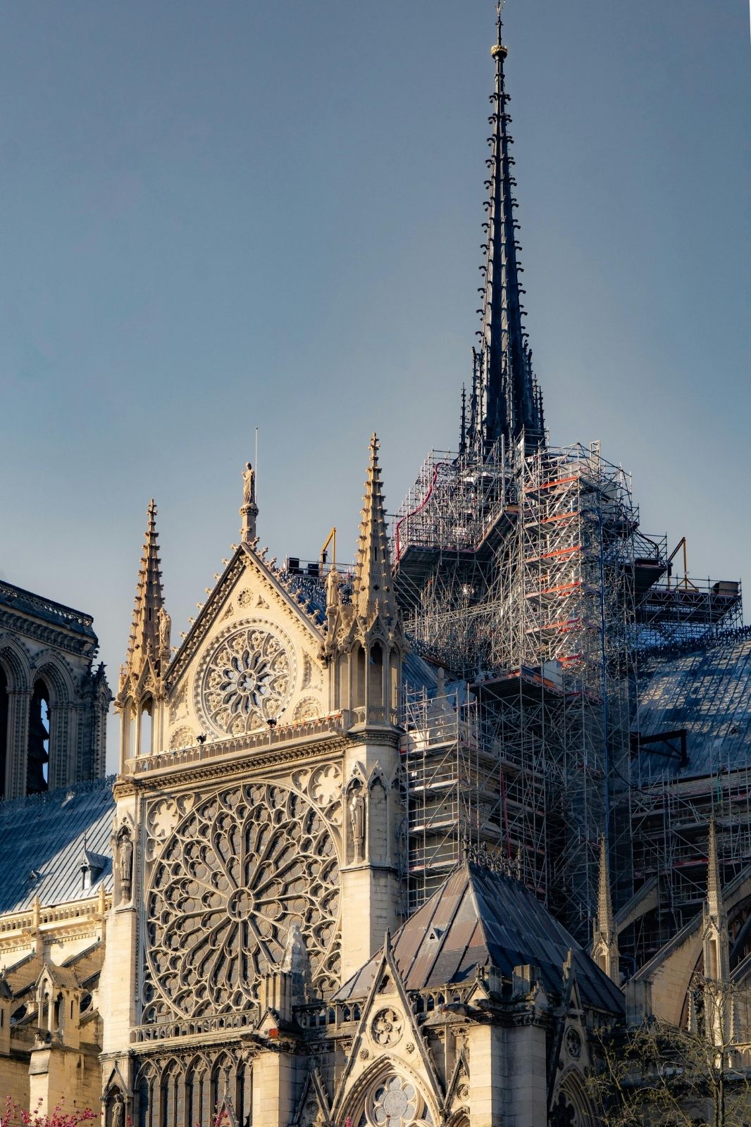 The Restoration of Notre Dame