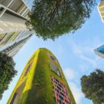 Residential Architecture Face-Off: Co-Living vs Traditional Apartment for Urban Housing