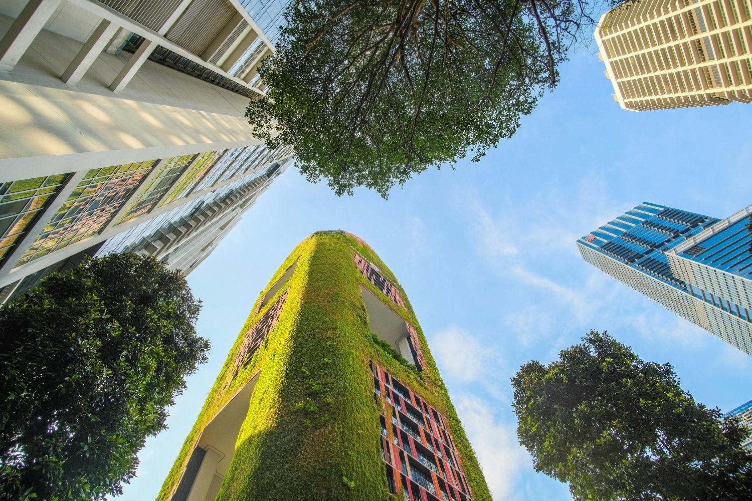 Residential Architecture Face-Off: Co-Living vs Traditional Apartment for Urban Housing