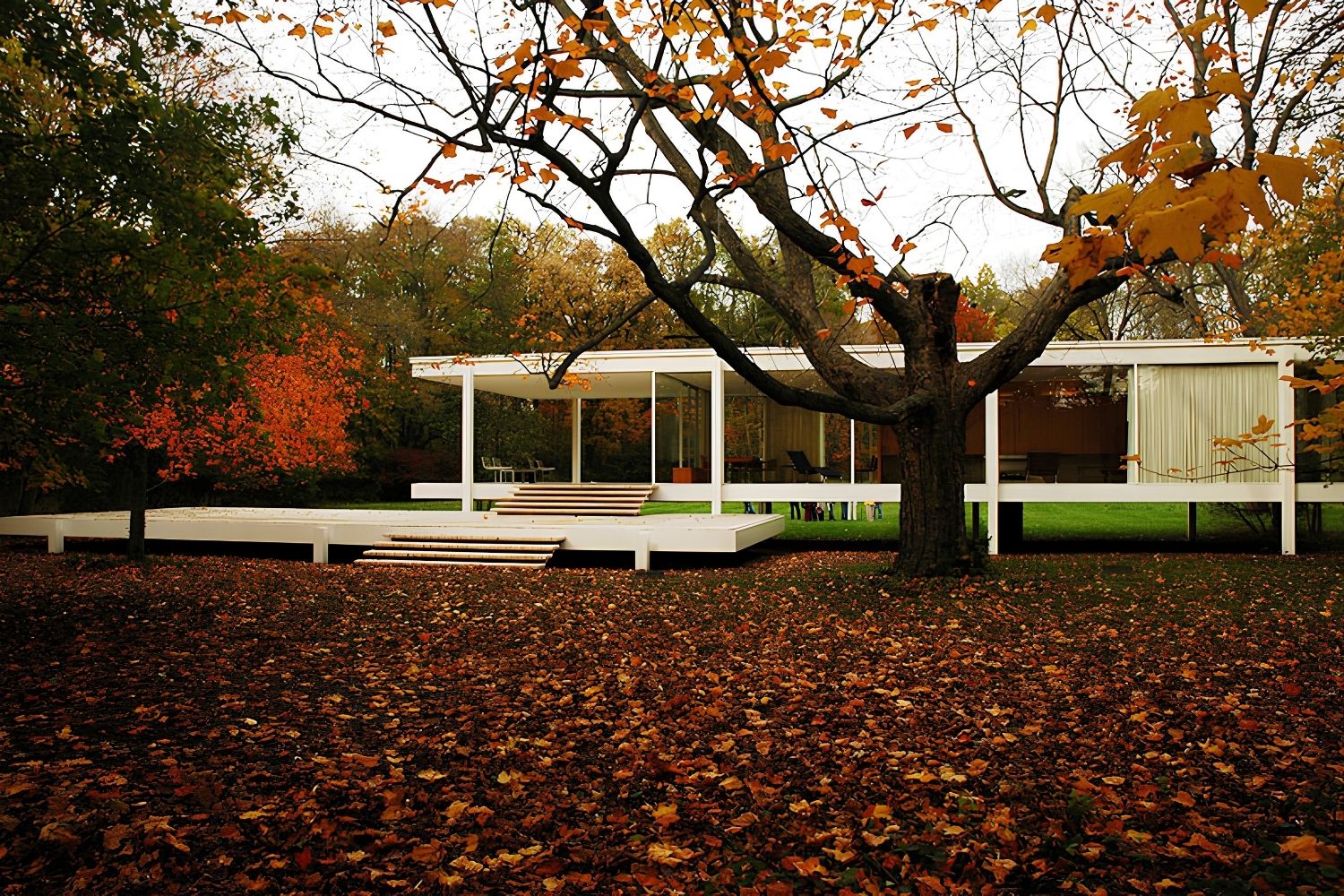 Where Do Famous Architects Live? Houses Behind the Masters